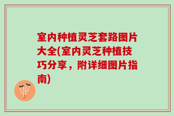 室内种植灵芝套路图片大全(室内灵芝种植技巧分享,附详细图片指南) 室内种植灵芝套路图片大全(室内灵芝种植技巧分享,附详细图片指南)