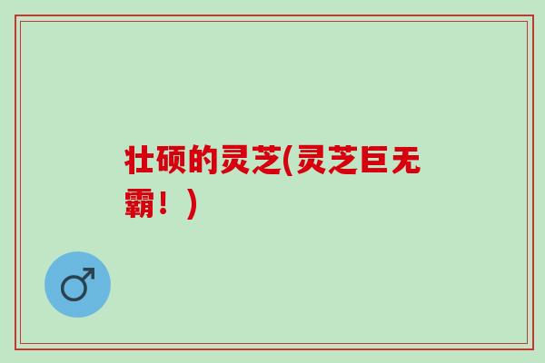 壮硕的灵芝(灵芝巨无霸！)