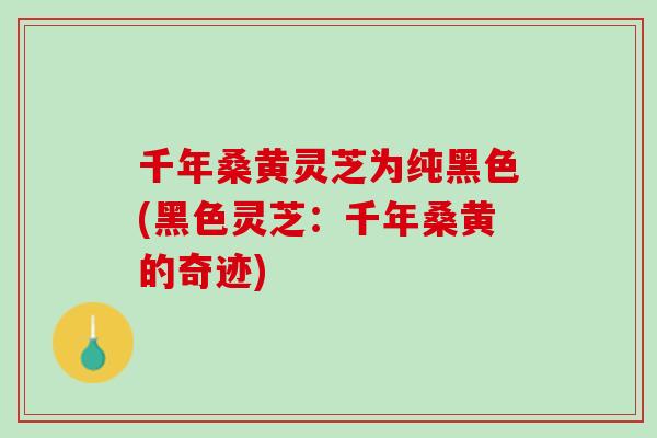 千年桑黄灵芝为纯黑色(黑色灵芝：千年桑黄的奇迹)