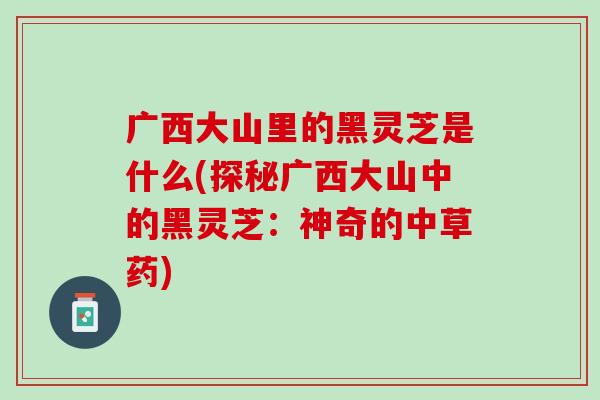 广西大山里的黑灵芝是什么(探秘广西大山中的黑灵芝：神奇的中草药)