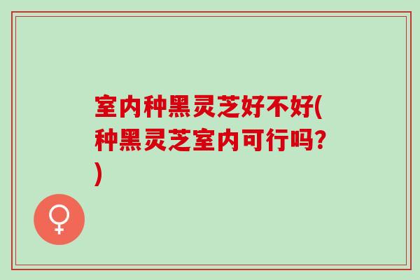 室内种黑灵芝好不好(种黑灵芝室内可行吗?) 室内种黑灵芝好不好(种黑灵芝室内可行吗?)