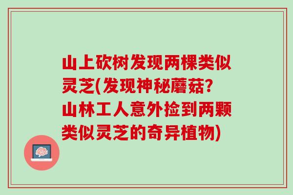 山上砍树发现两棵类似灵芝(发现神秘蘑菇？山林工人意外捡到两颗类似灵芝的奇异植物)