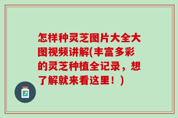 怎样种灵芝图片大全大图视频讲解(丰富多彩的灵芝种植全记录，想了解就来看这里！)