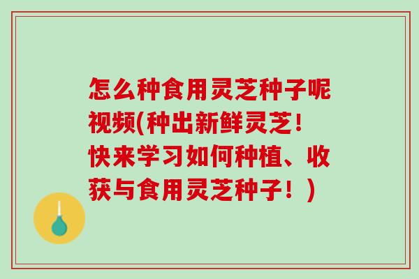 怎么种食用灵芝种子呢视频(种出新鲜灵芝！快来学习如何种植、收获与食用灵芝种子！)