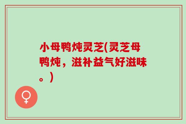 小母鸭炖灵芝(灵芝母鸭炖，滋补益气好滋味。)