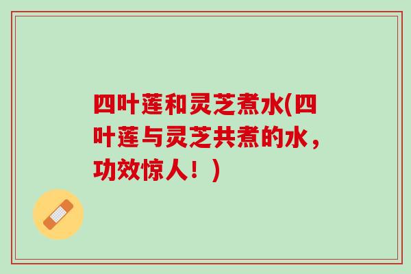 四叶莲和灵芝煮水(四叶莲与灵芝共煮的水，功效惊人！)
