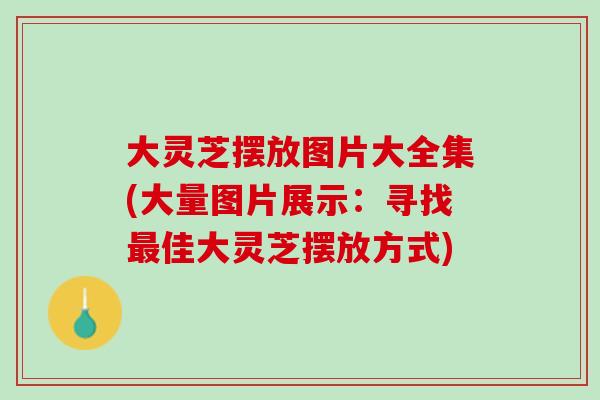 大灵芝摆放图片大全集(大量图片展示:寻找佳大灵芝摆放方式) 大灵芝摆放图片大全集(大量图片展示:寻找佳大灵芝摆放方式)
