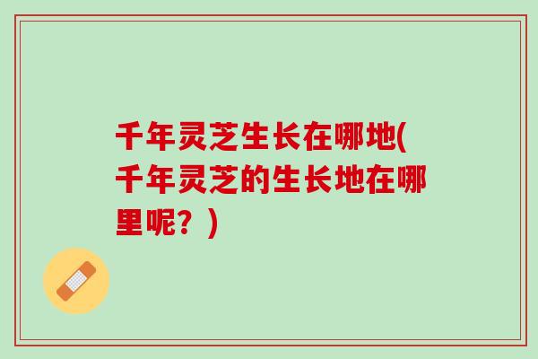 千年灵芝生长在哪地(千年灵芝的生长地在哪里呢?) 千年灵芝生长在哪地(千年灵芝的生长地在哪里呢?)