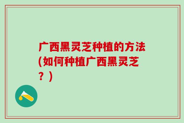 广西黑灵芝种植的方法(如何种植广西黑灵芝？)