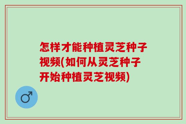怎样才能种植灵芝种子视频(如何从灵芝种子开始种植灵芝视频)