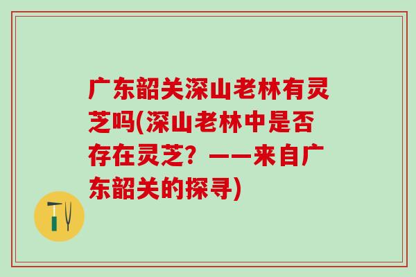 广东韶关深山老林有灵芝吗(深山老林中是否存在灵芝？——来自广东韶关的探寻)