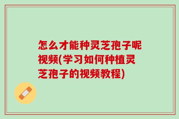 怎么才能种灵芝孢子呢视频(学习如何种植灵芝孢子的视频教程) 怎么才能种灵芝孢子呢视频(学习如何种植灵芝孢子的视频教程)