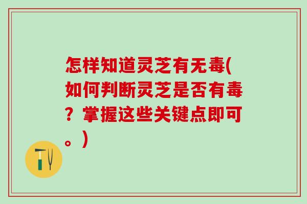 怎样知道灵芝有无毒(如何判断灵芝是否有毒？掌握这些关键点即可。)