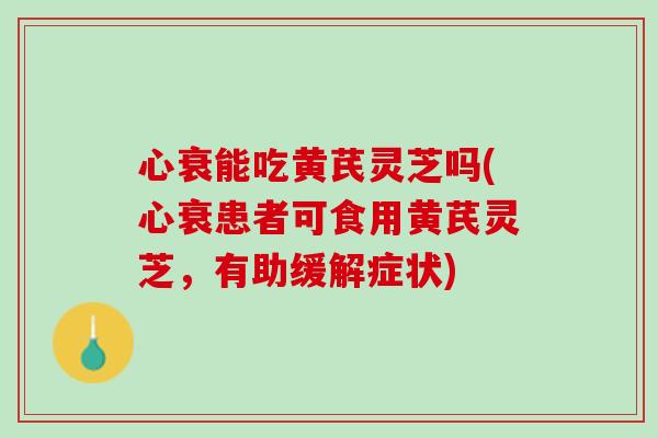 心衰能吃黄芪灵芝吗(心衰患者可食用黄芪灵芝，有助缓解症状)
