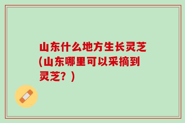 山东什么地方生长灵芝(山东哪里可以采摘到灵芝？)