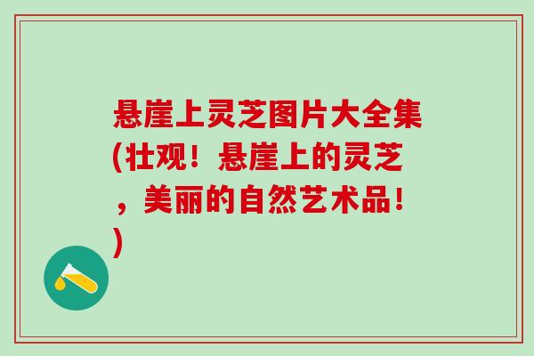 悬崖上灵芝图片大全集(壮观!悬崖上的灵芝,美丽的自然艺术品!) 悬崖上灵芝图片大全集(壮观!悬崖上的灵芝,美丽的自然艺术品!)