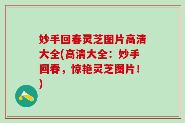 妙手回春灵芝图片高清大全(高清大全：妙手回春，惊艳灵芝图片！)