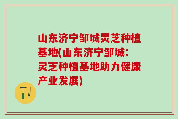 山东济宁邹城灵芝种植基地(山东济宁邹城：灵芝种植基地助力健康产业发展)