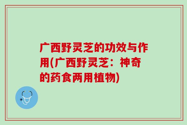广西野灵芝的功效与作用(广西野灵芝：神奇的药食两用植物)