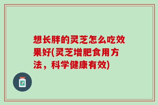 想长胖的灵芝怎么吃效果好(灵芝增肥食用方法，科学健康有效)