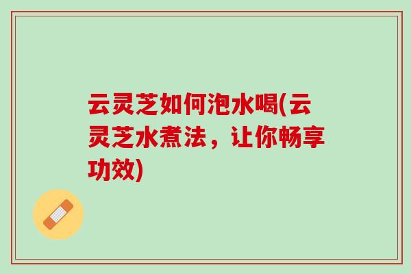 云灵芝如何泡水喝(云灵芝水煮法，让你畅享功效)