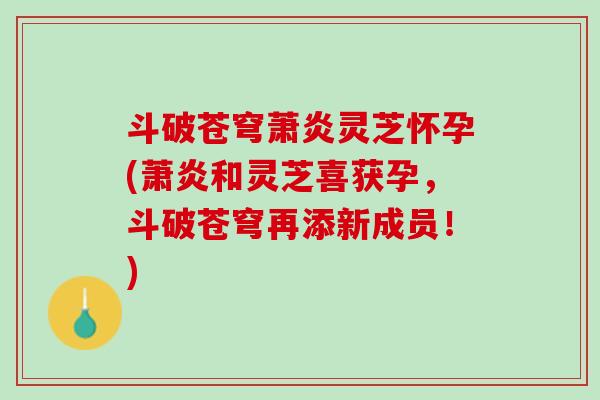 斗破苍穹萧炎灵芝怀孕(萧炎和灵芝喜获孕,斗破苍穹再添新成员!) 斗破苍穹萧炎灵芝怀孕(萧炎和灵芝喜获孕,斗破苍穹再添新成员!)