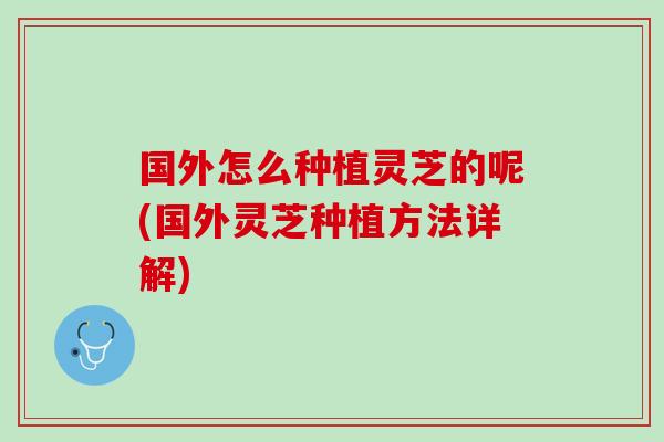 国外怎么种植灵芝的呢(国外灵芝种植方法详解)