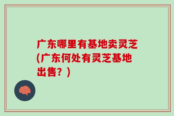 广东哪里有基地卖灵芝(广东何处有灵芝基地出售？)