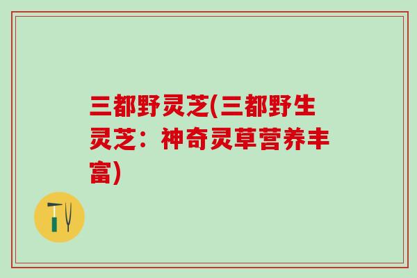 三都野灵芝(三都野生灵芝:神奇灵草营养丰富) 三都野灵芝(三都野生灵芝:神奇灵草营养丰富)