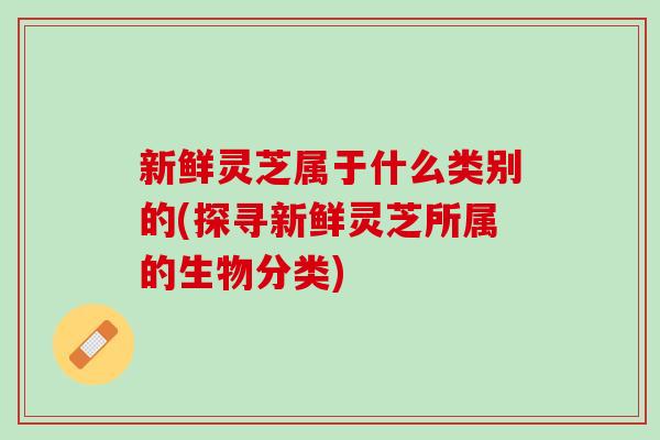 新鲜灵芝属于什么类别的(探寻新鲜灵芝所属的生物分类)