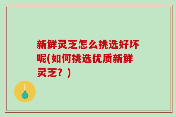 新鲜灵芝怎么挑选好坏呢(如何挑选优质新鲜灵芝？)
