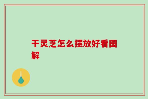 干灵芝怎么摆放好看图解