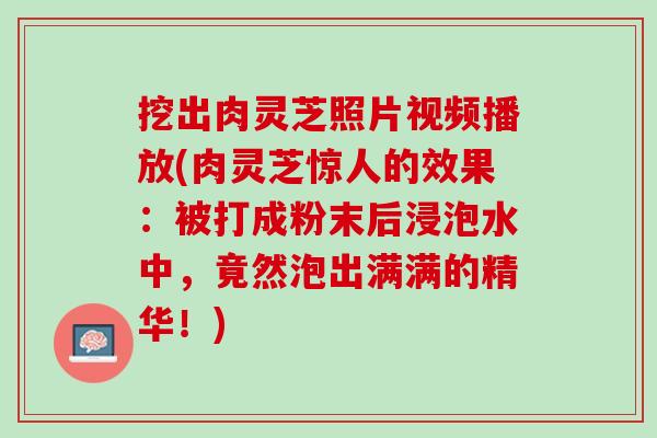 挖出肉灵芝照片视频播放(肉灵芝惊人的效果:被打成粉末后浸泡水中,竟然泡出满满的精华!) 挖出肉灵芝照片视频播放(肉灵芝惊人的效果:被打成粉末后浸泡水中,竟然泡出满满的精华!)