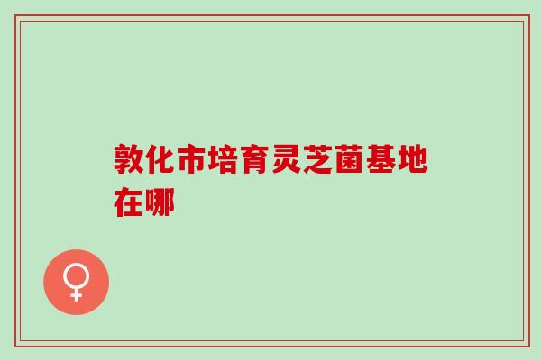 敦化市培育灵芝菌基地在哪