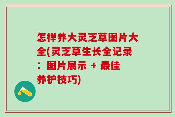 怎样养大灵芝草图片大全(灵芝草生长全记录：图片展示 + 最佳养护技巧)
