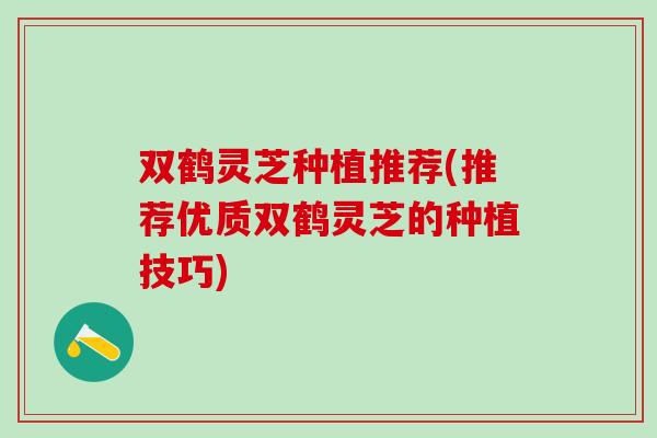 双鹤灵芝种植推荐(推荐优质双鹤灵芝的种植技巧)