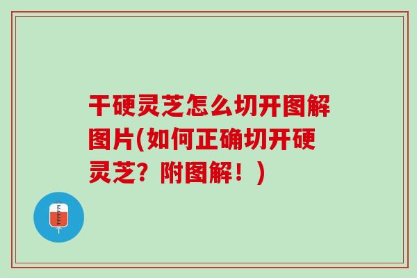 干硬灵芝怎么切开图解图片(如何正确切开硬灵芝?附图解!) 干硬灵芝怎么切开图解图片(如何正确切开硬灵芝?附图解!)