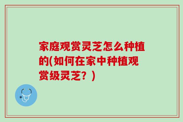 家庭观赏灵芝怎么种植的(如何在家中种植观赏级灵芝？)
