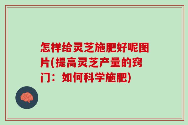 怎样给灵芝施肥好呢图片(提高灵芝产量的窍门：如何科学施肥)