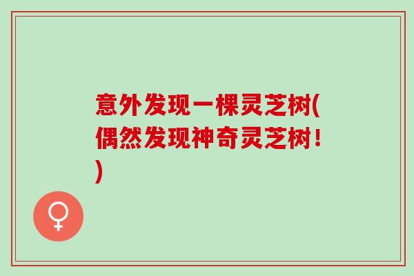 意外发现一棵灵芝树(偶然发现神奇灵芝树！)