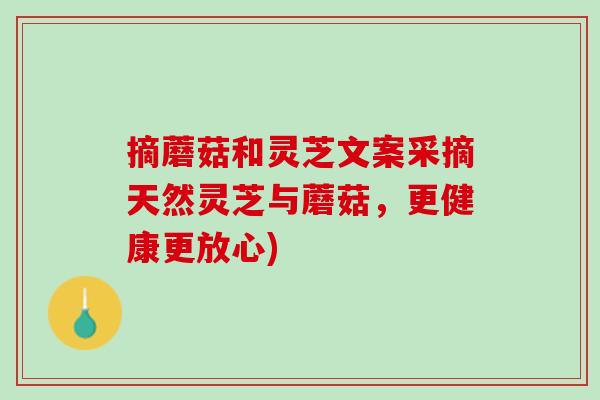 摘蘑菇和灵芝文案采摘天然灵芝与蘑菇，更健康更放心)