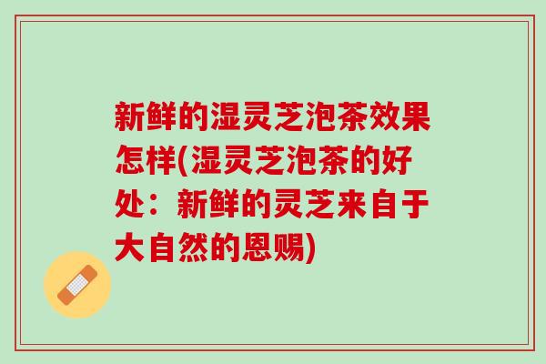 新鲜的湿灵芝泡茶效果怎样(湿灵芝泡茶的好处：新鲜的灵芝来自于大自然的恩赐)