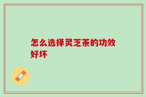 怎么选择灵芝茶的功效好坏 怎么选择灵芝茶的功效好坏