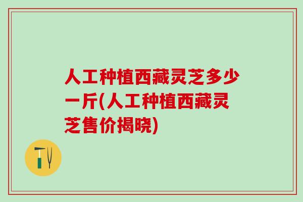 人工种植西藏灵芝多少一斤(人工种植西藏灵芝售价揭晓)