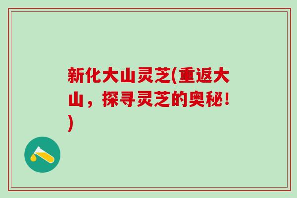 新化大山灵芝(重返大山，探寻灵芝的奥秘！)