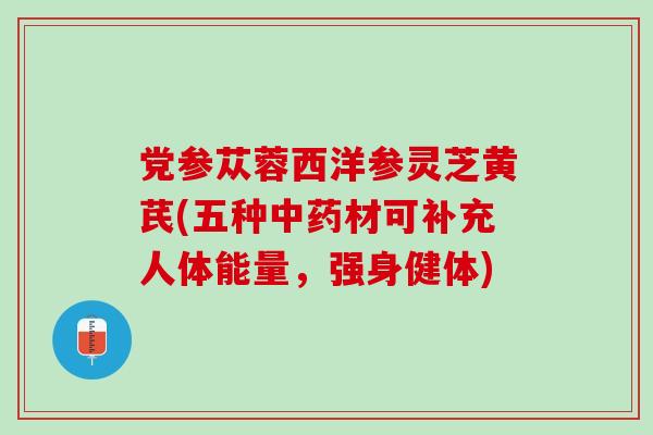 党参苁蓉西洋参灵芝黄芪(五种中药材可补充人体能量，强身健体)