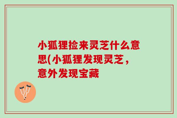 小狐狸捡来灵芝什么意思(小狐狸发现灵芝,意外发现宝藏 小狐狸捡来灵芝什么意思(小狐狸发现灵芝,意外发现宝藏