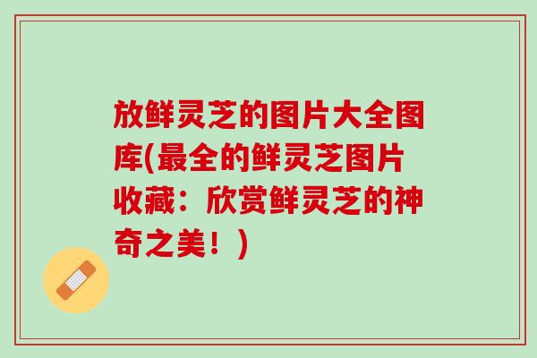 放鲜灵芝的图片大全图库(最全的鲜灵芝图片收藏：欣赏鲜灵芝的神奇之美！)