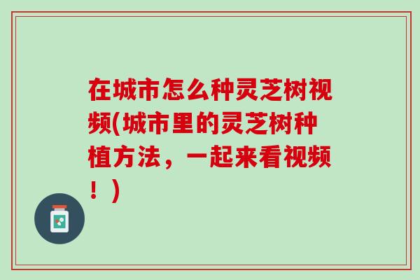 在城市怎么种灵芝树视频(城市里的灵芝树种植方法，一起来看视频！)