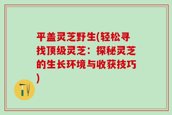 平盖灵芝野生(轻松寻找顶级灵芝：探秘灵芝的生长环境与收获技巧)